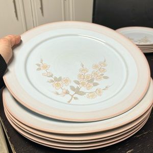 6 Denby Normandy dinner plates